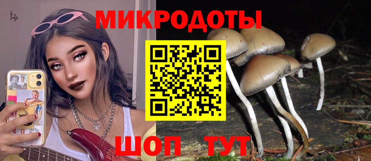 Псилоцибиновые грибы GOLDEN TEACHER Фрязино